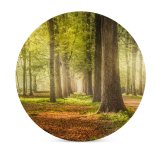 yanfind Ceramic Coasters (round) Skitterphoto Woodland Forest Trees Road Fallen Leaves Greenery Woods Sunshine Pathway Scenery Family Game Intellectual Educational Game Jigsaw Puzzle Toy Set