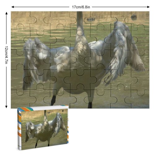 yanfind Picture Puzzle Whooper  Beak Kneck Feather Flap Wing Bill Wetland Bird Cob Wildfowl Family Game Intellectual Educational Game Jigsaw Puzzle Toy Set