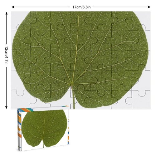 yanfind Picture Puzzle Leaf Texture Plant Flower Tree  Auritum Flowering Pathology Anthurium Bud Family Game Intellectual Educational Game Jigsaw Puzzle Toy Set