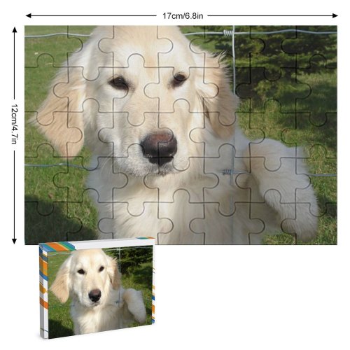yanfind Picture Puzzle Golden Dog Puppy Outside Cute Lovable Climb Climbing Fluffy Fence Vertebrate Canidae Family Game Intellectual Educational Game Jigsaw Puzzle Toy Set