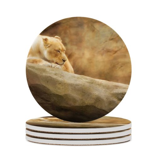 yanfind Ceramic Coasters (round) William Warby Lioness Paradise Wildlife Park Park Golden Rock Family Game Intellectual Educational Game Jigsaw Puzzle Toy Set