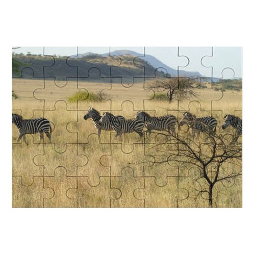 yanfind Picture Puzzle Zebras Ethiopia Africa Zebra Wildlife Terrestrial Grassland  Savanna Shrubland Plant Community Family Game Intellectual Educational Game Jigsaw Puzzle Toy Set