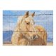 yanfind Picture Puzzle Horse Fence Portrait Bokeh Family Game Intellectual Educational Game Jigsaw Puzzle Toy Set