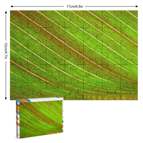 yanfind Picture Puzzle Leaf Texture Plant Grass Macro Family Game Intellectual Educational Game Jigsaw Puzzle Toy Set