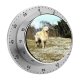 yanfind Timer Tree  Plants Flowers Wood Walk Hill Foliage Dog Stone Wall Golden 60 Minutes Mechanical Visual Timer