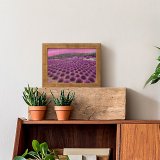 yanfind Picture Puzzle Talip ÇETİN Lavender Fields Landscape Sky Garden Family Game Intellectual Educational Game Jigsaw Puzzle Toy Set