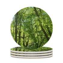 yanfind Ceramic Coasters (round) Spring Tree Leaf Forest Temperate Broadleaf Natural Northern Hardwood Vegetation Old Growth Family Game Intellectual Educational Game Jigsaw Puzzle Toy Set