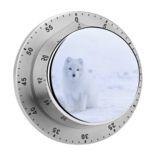 yanfind Timer Polar Images Iceland Christmas Icelandic Snow Wildlife Wallpapers Mamal Arctic Fox Winter 60 Minutes Mechanical Visual Timer
