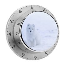 yanfind Timer Polar Images Iceland Christmas Icelandic Snow Wildlife Wallpapers Mamal Arctic Fox Winter 60 Minutes Mechanical Visual Timer