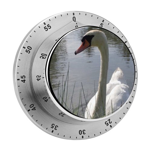 yanfind Timer  Waterfowl Summers Lake Bird Serene Vertebrate Ducks Geese Swans Beak Waterway 60 Minutes Mechanical Visual Timer
