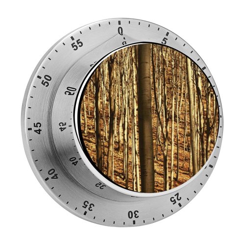 yanfind Timer Tree Trees Clean Soothing Grass Peace Relaxing Woods  Forest Woodland Natural 60 Minutes Mechanical Visual Timer