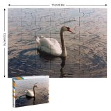 yanfind Picture Puzzle  Lonesome Lake Kaszuby Bird Beak Ducks Geese Swans Waterfowl Reflection Sky Family Game Intellectual Educational Game Jigsaw Puzzle Toy Set