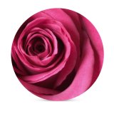 yanfind Ceramic Coasters (round) Flowers Rose Macro Bloom Family Game Intellectual Educational Game Jigsaw Puzzle Toy Set