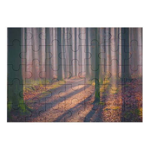 yanfind Picture Puzzle Hmetosche Autumn Forest Fallen Leaves Fog  Light Trees Woods Family Game Intellectual Educational Game Jigsaw Puzzle Toy Set