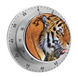 yanfind Timer  Face  Big Cat Wild Closeup Carnivore 60 Minutes Mechanical Visual Timer