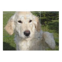 yanfind Picture Puzzle Golden Dog Puppy Outside Cute Lovable Climb Climbing Fluffy Fence Vertebrate Canidae Family Game Intellectual Educational Game Jigsaw Puzzle Toy Set