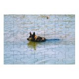 yanfind Picture Puzzle Dog Family Dogs Pond Canidae German Dobermann Carnivore Summer Sea Guard Family Game Intellectual Educational Game Jigsaw Puzzle Toy Set