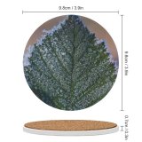 yanfind Ceramic Coasters (round) Images Floral Mist Frost Foliage Public Snow Wallpapers Plant Outdoors Scenery Winter Family Game Intellectual Educational Game Jigsaw Puzzle Toy Set