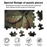yanfind Picture Puzzle  Leaves Rainy Drops Closeup Macro  HDR Family Game Intellectual Educational Game Jigsaw Puzzle Toy Set