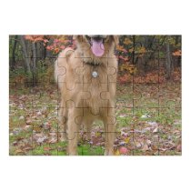 yanfind Picture Puzzle Golden Fall Autumn Dog Play Vertebrate Canidae Carnivore Sporting Tree Family Game Intellectual Educational Game Jigsaw Puzzle Toy Set