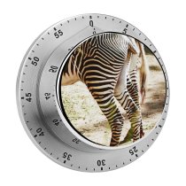 yanfind Timer Sunny Images Tail Wildlife Wallpapers Grey Zebra Pictures PNG HQ 60 Minutes Mechanical Visual Timer