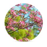 yanfind Ceramic Coasters (round) Flowers Flowers Spring Bokeh Beautiful Bloom Family Game Intellectual Educational Game Jigsaw Puzzle Toy Set