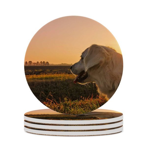 yanfind Ceramic Coasters (round) Golden Images Pet  Veneto Sky Wallpapers Dusk Outdoors Free Sunlight Pictures Family Game Intellectual Educational Game Jigsaw Puzzle Toy Set