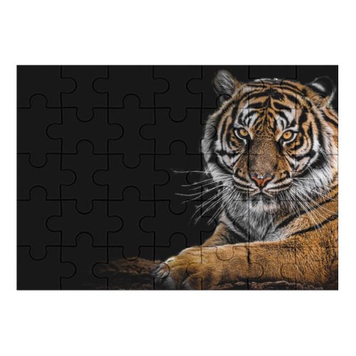 yanfind Picture Puzzle Dark Bengal  Big Cat  Closeup Family Game Intellectual Educational Game Jigsaw Puzzle Toy Set
