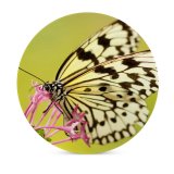 yanfind Ceramic Coasters (round) Images Taiwan Insect Spring Wing Wallpapers Borisworkshop Bloom Free Monarch Invertebrate Pictures Family Game Intellectual Educational Game Jigsaw Puzzle Toy Set