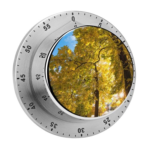 yanfind Timer Images  Lawn Public  Sky Wallpapers Plant Meadow Tree Trunk Warsaw 60 Minutes Mechanical Visual Timer