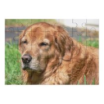 yanfind Picture Puzzle Golden Dog Vertebrate Canidae Carnivore Sporting Family Game Intellectual Educational Game Jigsaw Puzzle Toy Set