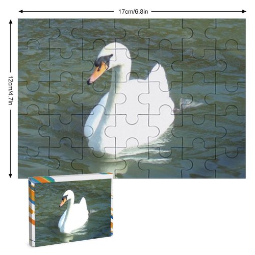 yanfind Picture Puzzle  Lake Park Sunlight Ripples Bird Ducks Geese Swans Beak Duck Waterfowl Family Game Intellectual Educational Game Jigsaw Puzzle Toy Set