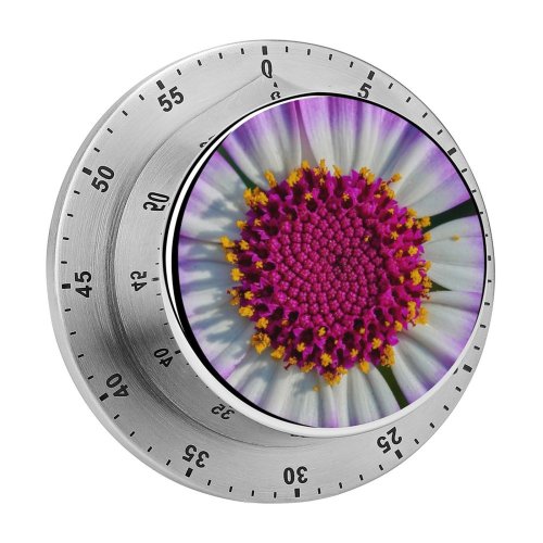 yanfind Timer Carsten Heyer Flowers Purple Flower Macro Closeup Petals  Bloom Spring Pericallis 60 Minutes Mechanical Visual Timer