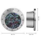 yanfind Timer Snow Fragility Tree Summer France Winter Frozen Temperature Focus Beauty Selective Leaf 60 Minutes Mechanical Visual Timer