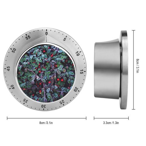 yanfind Timer Snow Fragility Tree Summer France Winter Frozen Temperature Focus Beauty Selective Leaf 60 Minutes Mechanical Visual Timer
