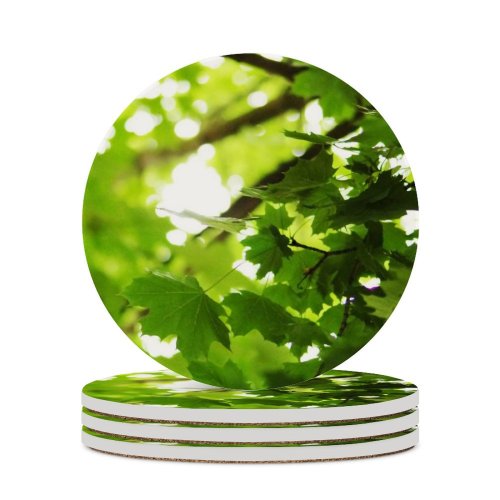 yanfind Ceramic Coasters (round) Summer Leaves Leaf Plants Outside Yard Trees Plant Branch Tree Light Flower Family Game Intellectual Educational Game Jigsaw Puzzle Toy Set