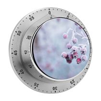 yanfind Timer Images Christmas Flora Frost Snow Twig Wallpapers Plant Outdoors Garden Free Winter 60 Minutes Mechanical Visual Timer