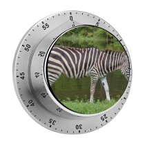 yanfind Timer Images Country Fl Wildlife Wallpapers Safari Stock Loxahatchee Free Stripes Zebra Pictures 60 Minutes Mechanical Visual Timer