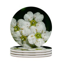yanfind Ceramic Coasters (round) Geranium Images Anther Petal Snowman Anemone Snow Wallpapers Plant Outdoors Blossoming Bloom Family Game Intellectual Educational Game Jigsaw Puzzle Toy Set