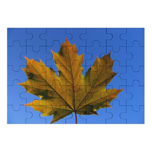 yanfind Picture Puzzle Leaf Sky Maple Tree Plant Woody Plane Flowering Family Game Intellectual Educational Game Jigsaw Puzzle Toy Set