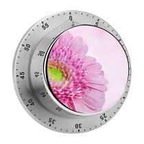 yanfind Timer Bruno Glätsch Flowers Gerbera Daisy Flower Drops Dew Drops Closeup Macro 60 Minutes Mechanical Visual Timer