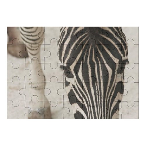 yanfind Picture Puzzle Zebra Wildlife Terrestrial Snout Neck Safari Family Game Intellectual Educational Game Jigsaw Puzzle Toy Set