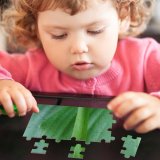 yanfind Picture Puzzle Stuff Leaf Light Plant Texture Flower Flowering Stem Terrestrial Family Game Intellectual Educational Game Jigsaw Puzzle Toy Set