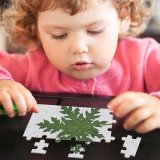 yanfind Picture Puzzle Leaf Structure Design Patter Texture Plant Flower Plane Tree Flowering Maple Silver Family Game Intellectual Educational Game Jigsaw Puzzle Toy Set