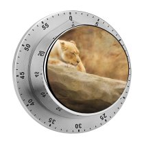 yanfind Timer William Warby Lioness Paradise Wildlife Park Park Golden Rock 60 Minutes Mechanical Visual Timer