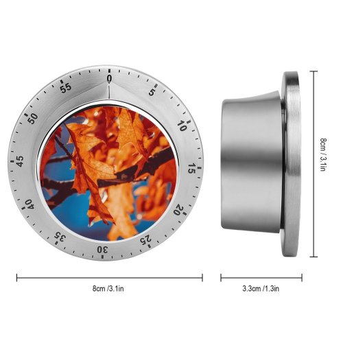 yanfind Timer Autumn Leaves Leaf Sunlight Closeup 60 Minutes Mechanical Visual Timer