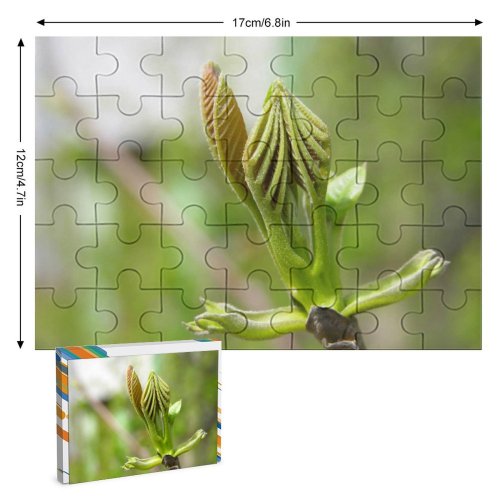 yanfind Picture Puzzle Leaf Spring Ozalj Croatia Flower Plant Bud Botany Flowering Macro Stem Family Game Intellectual Educational Game Jigsaw Puzzle Toy Set