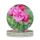 yanfind Ceramic Coasters (round) Poznań Geranium Images Carnation Rose Petal Peony Dahlia Plant Polska Garden Stock Family Game Intellectual Educational Game Jigsaw Puzzle Toy Set