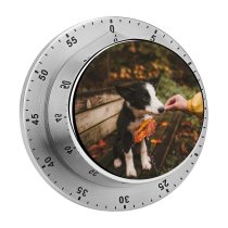 yanfind Timer October Images Fall Autumn  Pet Sigma Wallpapers Silly Free Goofy Minnesota 60 Minutes Mechanical Visual Timer