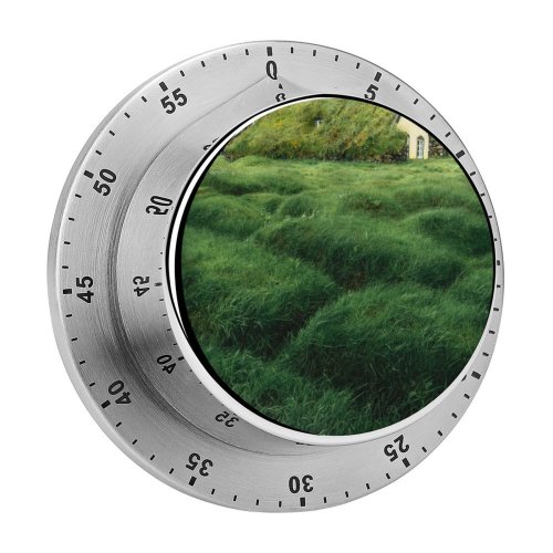 yanfind Timer Images Iceland Grassland Traveller Grass Wallpapers Plant Meadow Travel Outdoors Tree Mound 60 Minutes Mechanical Visual Timer